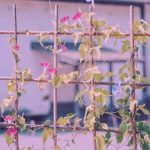 اهنگ گجلر فیکرینن یاتا بیلمیرم