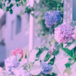 اهنگ هانی بنیم گنچلیگیم