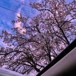 اهنگ لری جونم بی ایمونم بی ره جونم ره