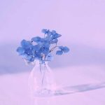 آهنگ خدا حفظت کنه میری سفر