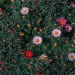 آهنگ میگم تموم شاعرا برای تو غزل بگن