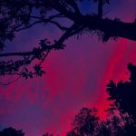آهنگ میترسم یه روزی برسه که اونو نبینم بمیرم تنها
