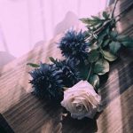 آهنگ میون این همه خوشگل کیو انتخاب کنم