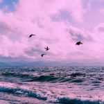 دانلود آهنگ تراختور گیمیشم قیرمیزی کوینک