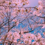 آهنگ وطن درد داره وطن پاره پاره بگو ای خدا جون که بارون بباره