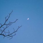 آهنگ یه آهی ورکشیم وا دینت ای دل