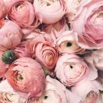اهنگ های تو سوزی گل چویلی مو مجنونم تو لیلی
