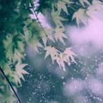 آهنگ مسلم برانی