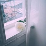 اهنگ باز منو کاشتی رفتی تنها گذاشتی رفتی