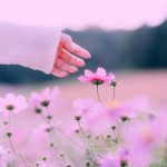 اهنگ دلبرم دلبر خانه خرابم کرد