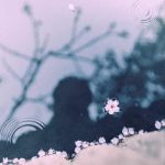 اهنگ ای دل تو خریداری نداری افسون شدی و یاری نداری