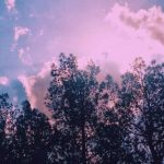 آهنگ خوشا ای دل بال و پر زدنت