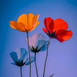 اهنگ یجوری عاشقم که با تو حاضرم تا خود ماه برم