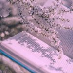 آهنگ داوود رستمی صفر تا صد