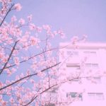 اهنگ ابراهیم تاتلیس اللهم نیدی گناهم