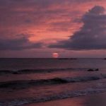 دانلود نوحه بهار عمروم دونوب اوغلوم