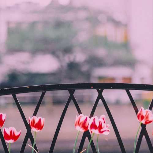 دانلود آهنگ اول آشناییمون یادم میاد