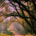 اهنگ کاماوینگا کاما او هو وینی وینیسیوس جونیور