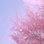 اهنگ ای یاسمن ای یاس من ای دونه الماس من