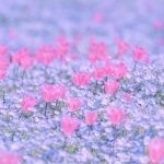 اهنگ هایدی سویله از ابراهیم تاتلیس