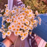 آهنگ مثه یه کابوسه تموم این روزا