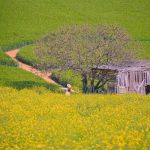 دانلود آهنگ ناز دمه ناز دمه ۴۰۵ گاز دمه
