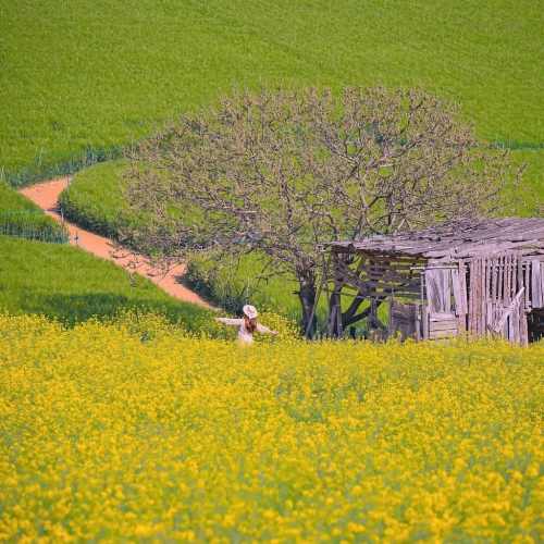 دانلود آهنگ ناز دمه ناز دمه ۴۰۵ گاز دمه