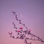 اهنگ وصله نگات به من ستاره رو تنت انداخته برق