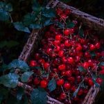آهنگ خبر دادن که یارم شده یارش