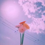 اهنگ آرمین کوشکباغی کنار