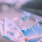 آهنگ حامد هاکان دیگه میرم