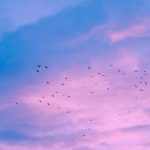 اهنگ امشب دوباره بارون غم میباره