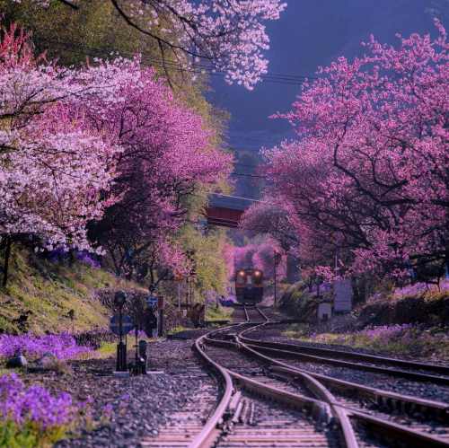 دانلود آهنگ سونگمین گودبای