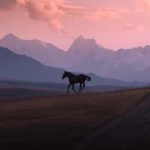 آهنگ آغلاما آغلاما اورگیم آغلاما