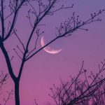 اهنگ همیشه پیش حسود جماعت سایلنتم زبون ندارم