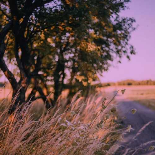 دانلود آهنگ نگو یه روز میری و پیشم نمیای دیگه