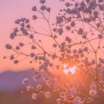 آهنگ تا پاشم از خواب سر ظهره
