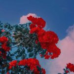 دانلود آهنگ خداحافظ تموم آرزوهام علی امیریان