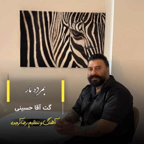 دانلود آهنگ گت آقا حسینی بمرده مار دانلود آهنگ گت آقا حسینی بمرده مار