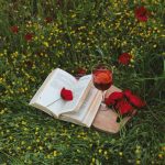 اهنگ خبر خبر از دل من دل دیوانه من