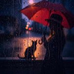 اهنگ مرا دیوانه کردی آخر نصیر وفا