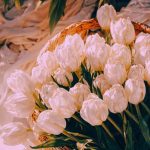 آهنگ همه میگن چرا شعرات همش از غصه و درده