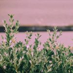 آهنگ حیاتیمدا اولان آرزولاریم سان