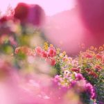 آهنگ سام علیکم مامانم اینا سام علیکم اونا و اینا