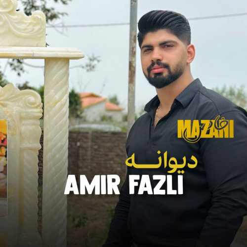 دانلود آهنگ امیر فضلی دیوانه دانلود آهنگ امیر فضلی دیوانه