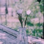 آهنگ هومن پناهی خار تو پامه