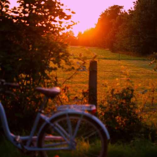 دانلود آهنگ ای گل رویایی ای مظهر زیبایی