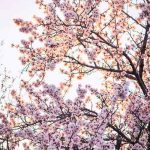 اهنگ هر شب با گریه میخوابم لعنت به این جدایی