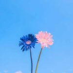 دانلود آهنگ جهان دنیای آروم