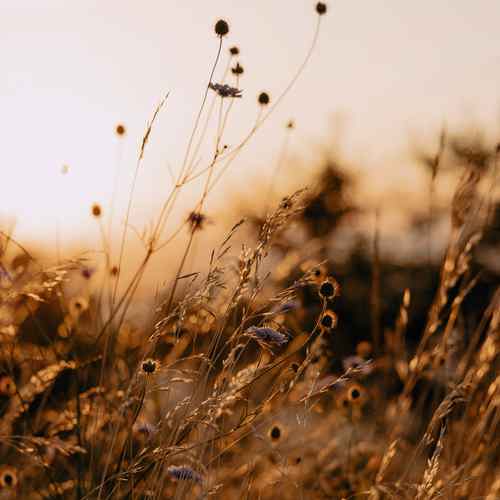 دانلود آهنگ من دارم کم کم دیوونه میشم میمیرم از غم
